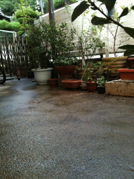 110822a.jpg