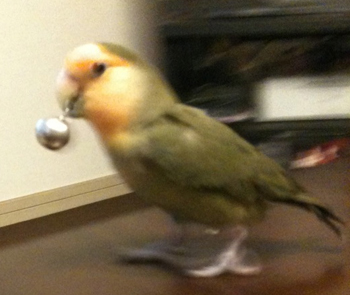 20110813b.jpg