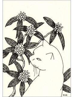 winterdaphne.jpg